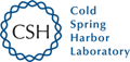csh